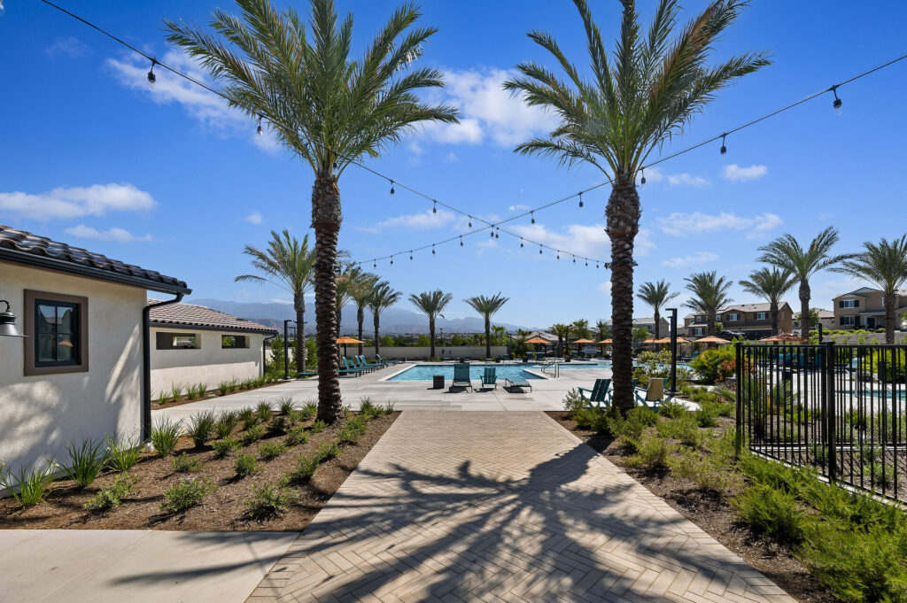 Pool deck lined with palms and string lights | Olivewood, Beaumont